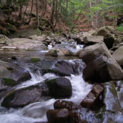 Associazione Ecomuseo della Montagna Pistoiese